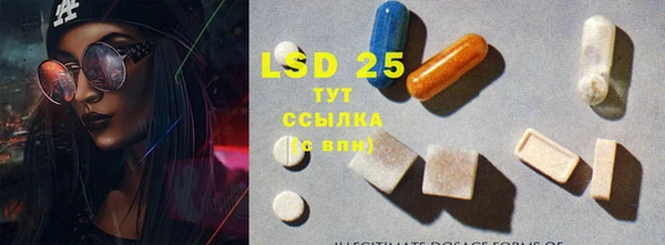PSILOCYBIN Гусиноозёрск