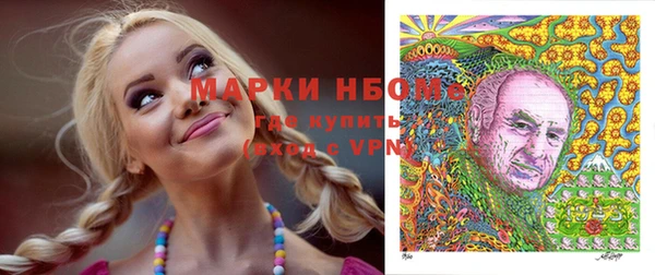 твердый Алексеевка