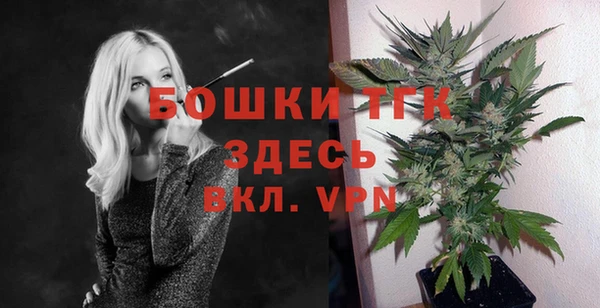 МДПВ Алексин