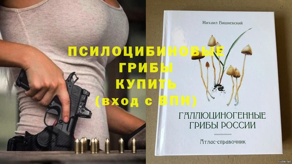 МДПВ Алексин