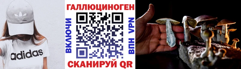где купить наркотик  mega ссылка  Псилоцибиновые грибы MAGIC MUSHROOMS  Нижний Новгород 